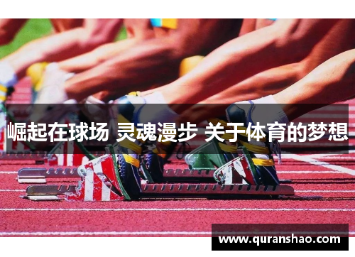 崛起在球场 灵魂漫步 关于体育的梦想